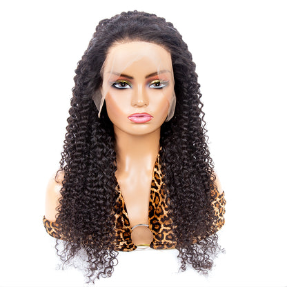 Curly Hair 13x4 HD Lace Frontal Wig 250%