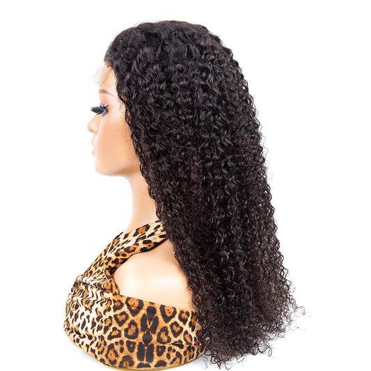Curly Hair 5X5 HD Lace Closure Wig 250% Density